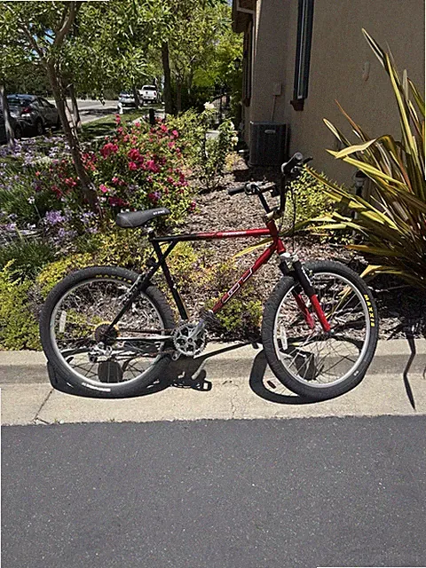 Gt Tequesta Red Flame 20 Inch Large Frame